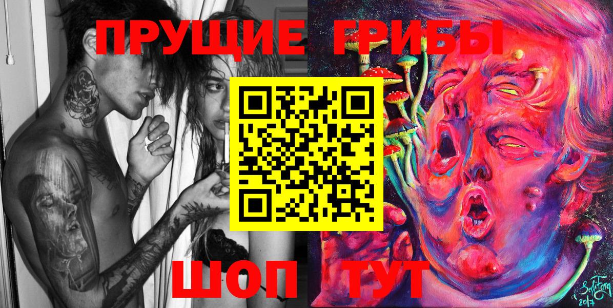 Донской  Галлюциногенные грибы прущие грибы  Вход с VPN  Галлюциногенные грибы мицелий 